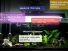 fishless cycling for aquarium nitrogen cycle