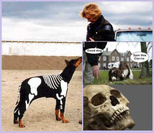 [Image: cadaver-dog5.png?w=300&h=260]