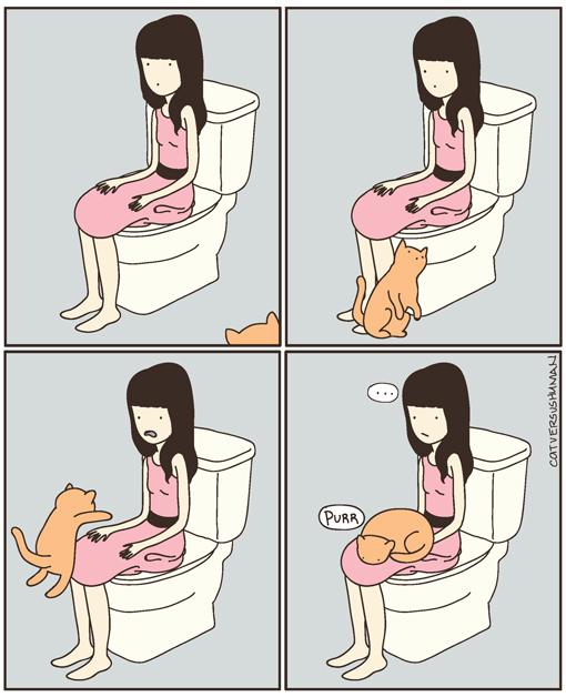 [Image: 5871489555_d047191127_o.jpg]