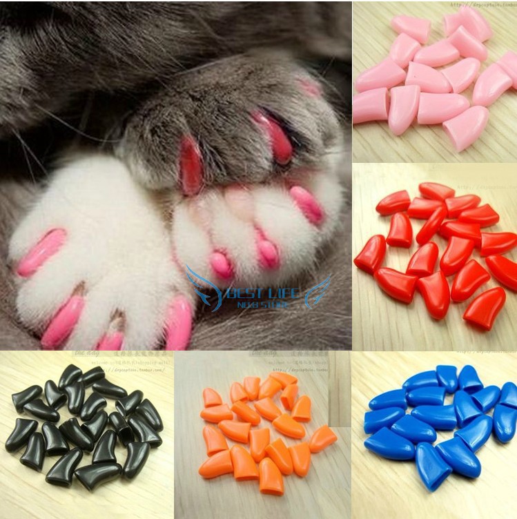[Image: Wholesale-20pcs-Lot-font-b-Cat-b-font-Na...-b-Cat.jpg]