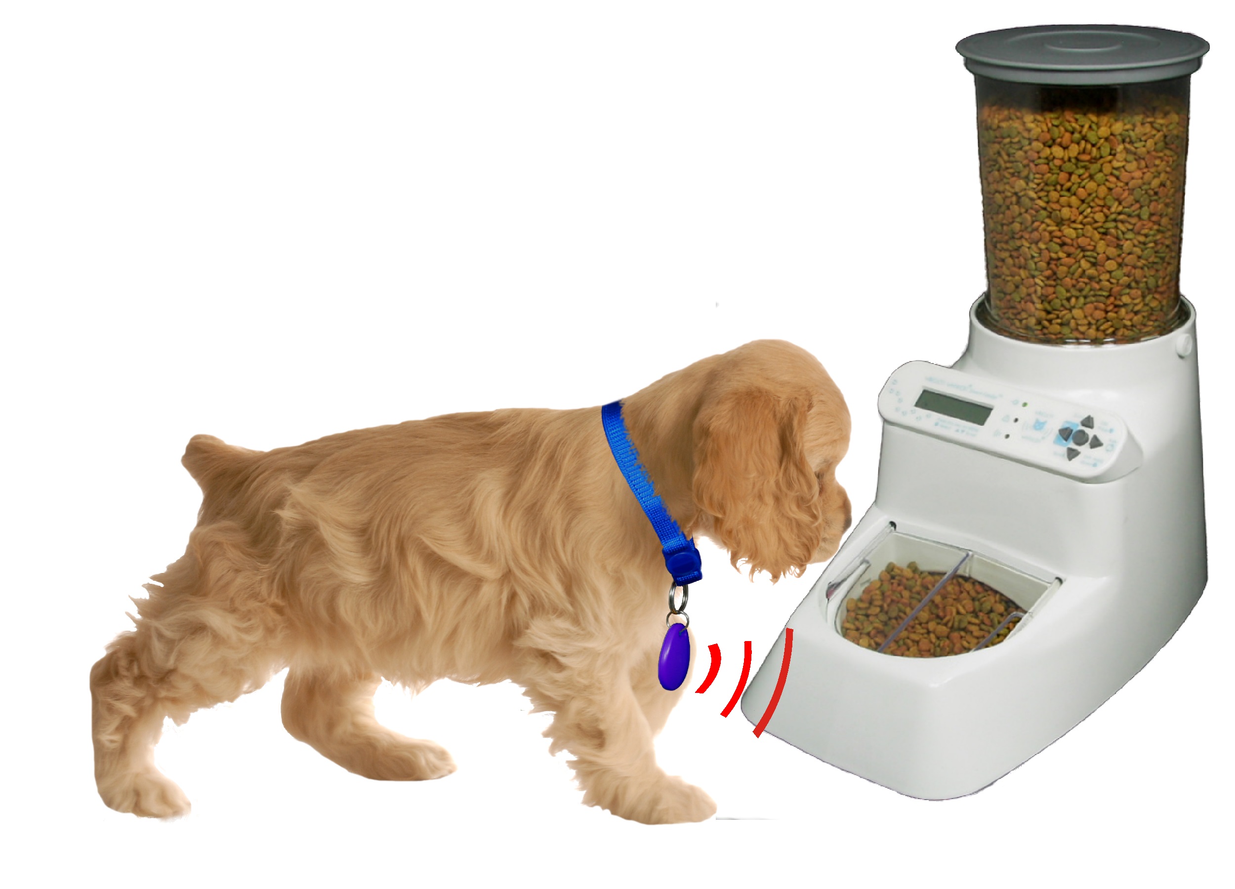 [Image: feeder_05.jpg]
