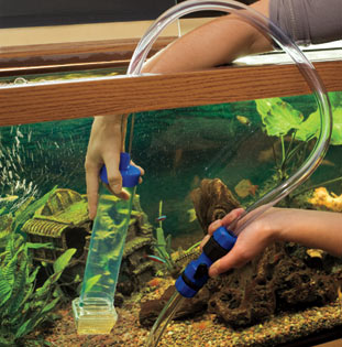 aquarium maintenance