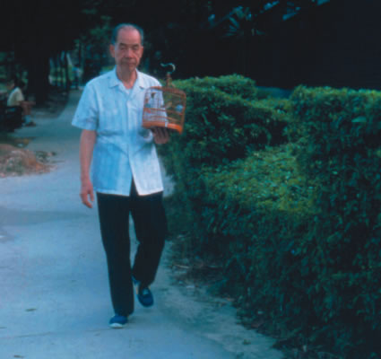 [Image: birdwalking_in_hong_kong.jpg]