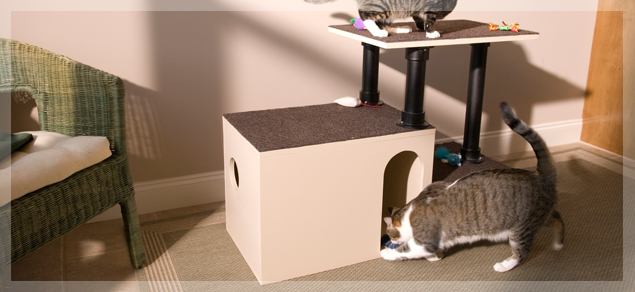 [Image: 0708_-_WW_-_hero_-_cathouse.jpg?sfvrsn=0]