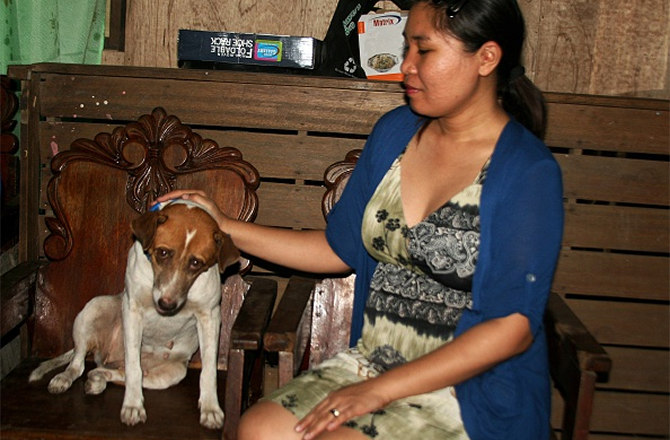[Image: 12.1.14-Dog-Swept-Away-By-Typhoon-Return...-Later.jpg]